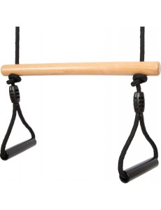  Version: Trapeze Swing with Gym Rings