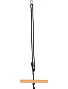  Version: Twist Trapeze Swing