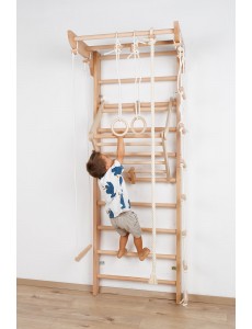 Wall Bars with Accessories – Safe Exercise for Kids & Adults