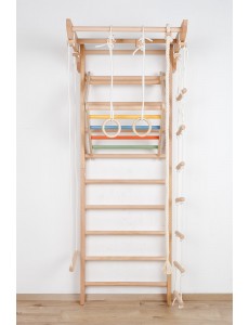 Wall Bars with Accessories – Safe Exercise for Kids & Adults