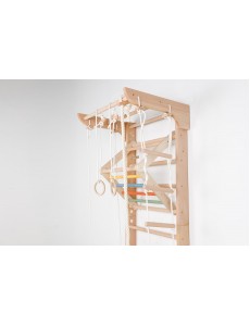 Wall Bars with Accessories – Safe Exercise for Kids & Adults