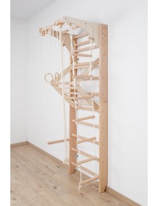 Wall Ladder with Movable Top Bar and Accessories