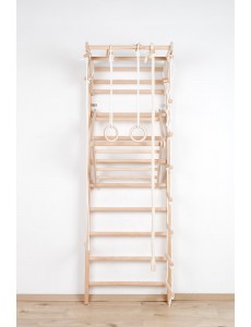 Wall Ladder with Movable Top Bar and Accessories