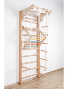 Wall Ladder with Movable Top Bar and Accessories