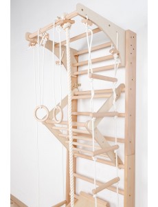 Children's Wall Bars with Movable Top Bar and Accessories