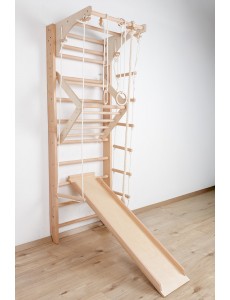 Children's Wall Bars with Movable Top Bar and Accessories