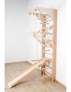 Children's Wall Bars with Movable Top Bar and Accessories