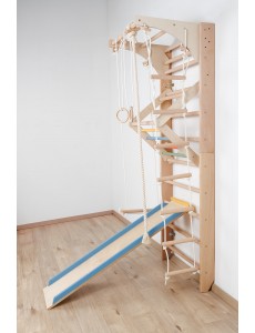 Children's Wall Bars with Movable Top Bar and Accessories