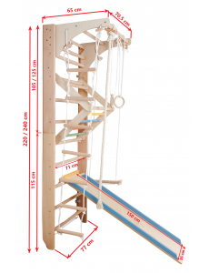 Children's Wall Bars with Movable Top Bar and Accessories