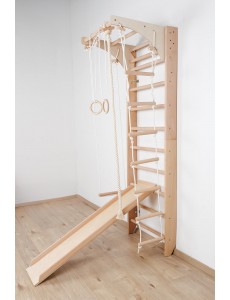 Wall Bars with Movable Top Bar and Accessories – The Perfect Fitness Equipment for the Whole Family!