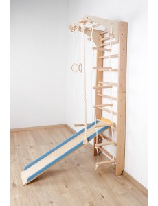 Wall Bars with Movable Top Bar and Accessories – The Perfect Fitness Equipment for the Whole Family!