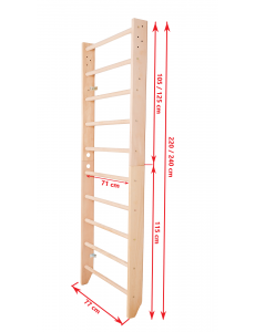 Wooden Wall Bars for Children and Adults – The Perfect Home Gym Accessory Wooden Wall Bars for Children and Adults – The Perfect Home Gym Accessory