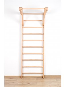 Wall Bars – Home Fitness & Play Equipment for the Whole Family