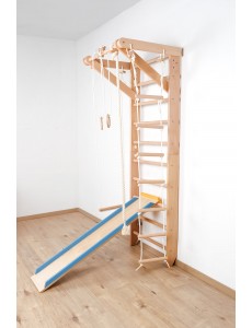 Wall Bars with Accessories – Home Fitness for the Whole Family