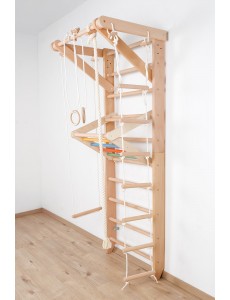 Wall Bars with Accessories – Fitness and Fun for the Whole Family