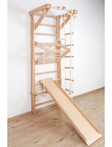 Wall Bars with Accessories – Fitness and Fun for the Whole Family