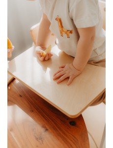  Options: Feeding tray / table